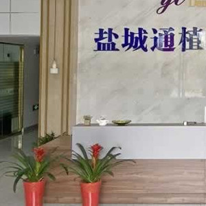 鹽城通植口腔門診