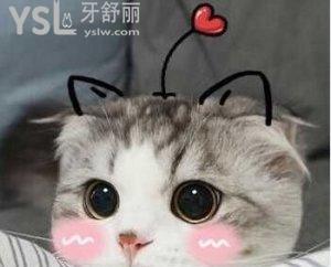 u=3101855839,2088316819&fm=26&gp=0.jpg
