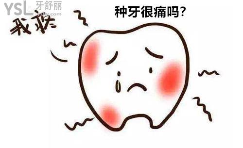 種植牙疼不疼