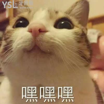 u=1511823425,1372828889&fm=26&gp=0.jpg