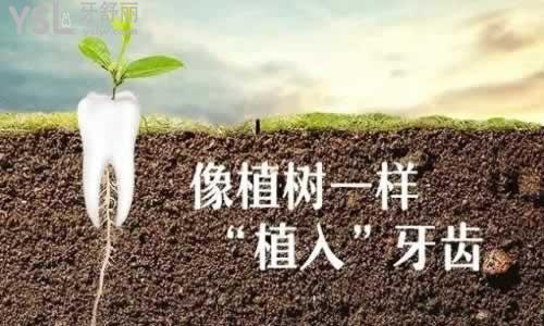 u=1105619922,1267907520&fm=26&gp=0.jpg