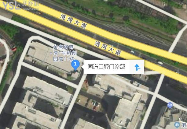 衛(wèi)星圖.jpg