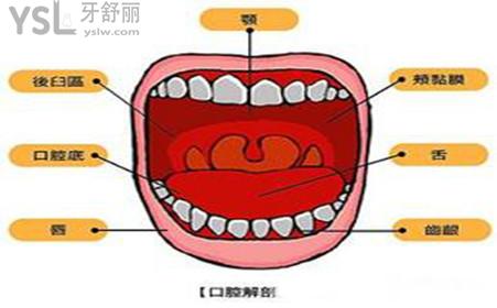 u=1349332136,4041728620&fm=26&gp=0.jpg