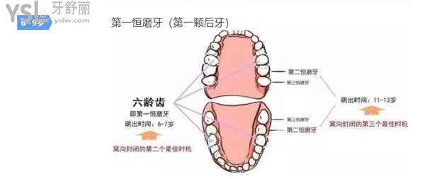 Dingtalk_20201221114159.jpg