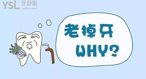 u=91789510,900197588&fm=26&gp=0.jpg