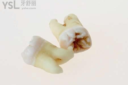 爛牙根1