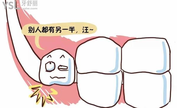 智齒1