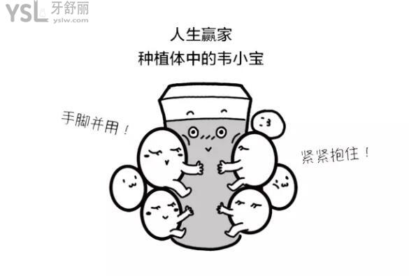 德國bego種植系統(tǒng)