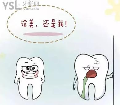 乳牙恒牙區(qū)分