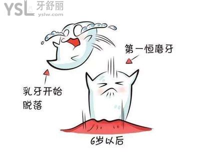 **恒牙萌出