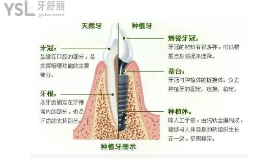QQ截圖20210318232712.jpg