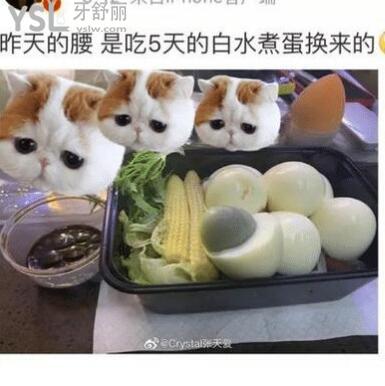 QQ截圖20210325141438.jpg