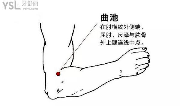 曲池穴