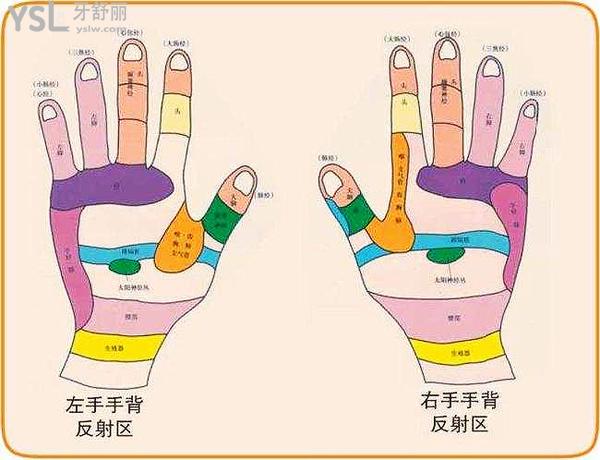 手部穴位