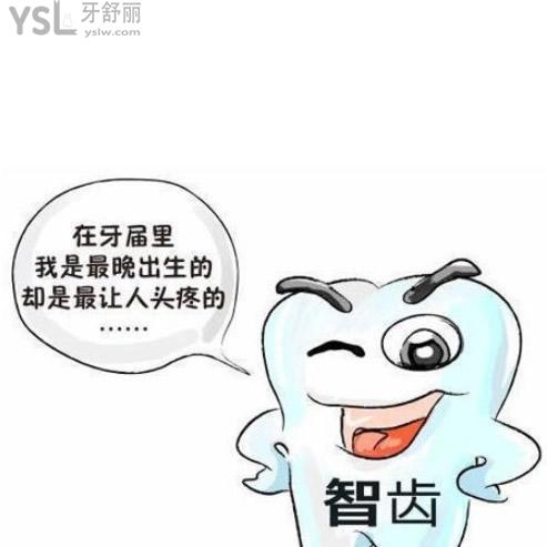智齒