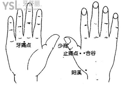 牙疼按摩牙痛點參考
