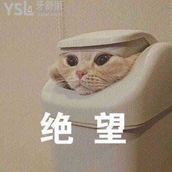 救救孩子吧，牙齒松動(dòng)牙齦萎縮怎么辦??！