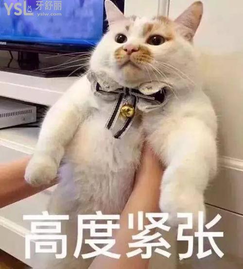 種植牙過程痛苦難受嗎，究竟疼不疼？