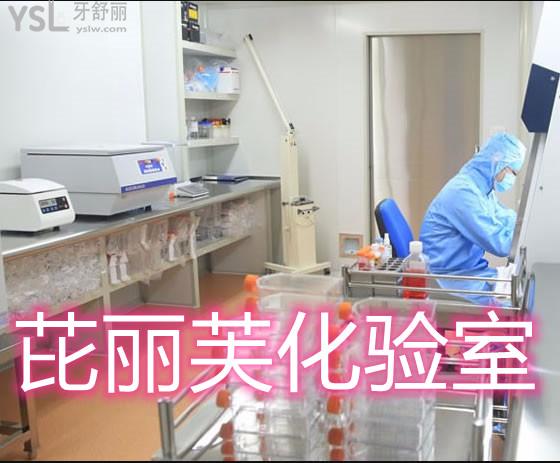 芘麗芙.jpg