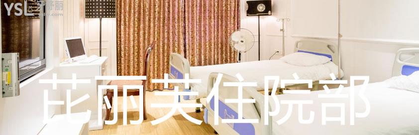 芘麗芙.jpg