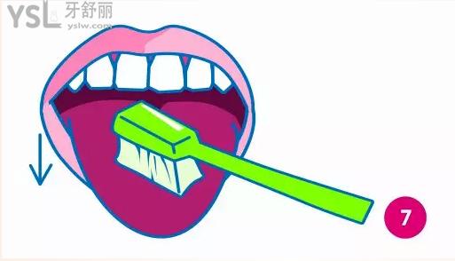 正確刷牙的八個步驟圖卡通高清7