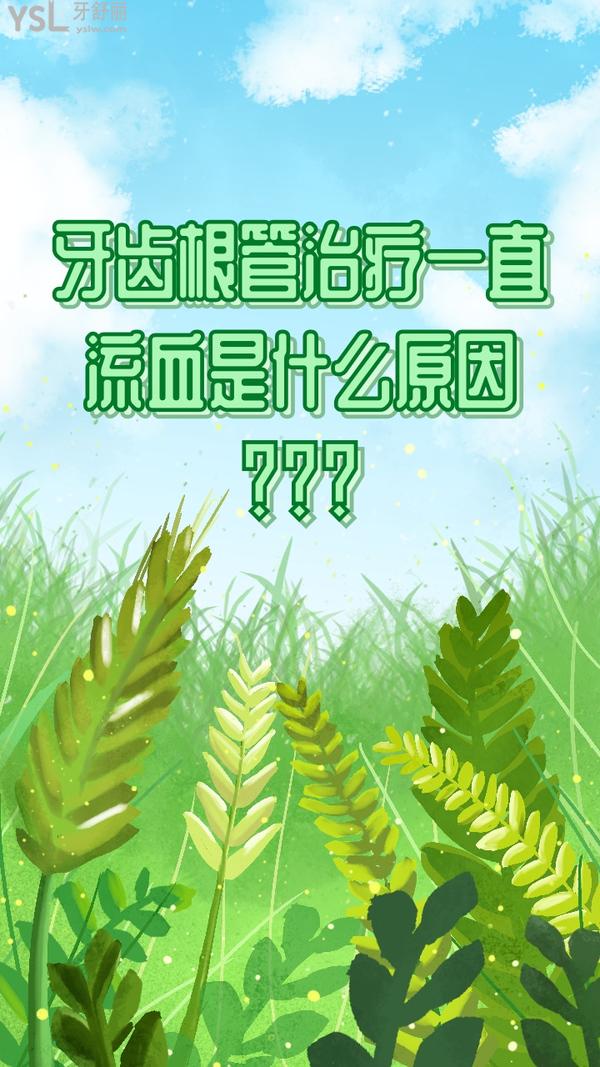 牙齒根管治療一直流血是什么原因？來看看你的問題出在哪