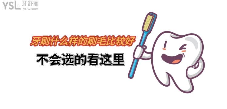 牙刷什么樣的刷毛比較好