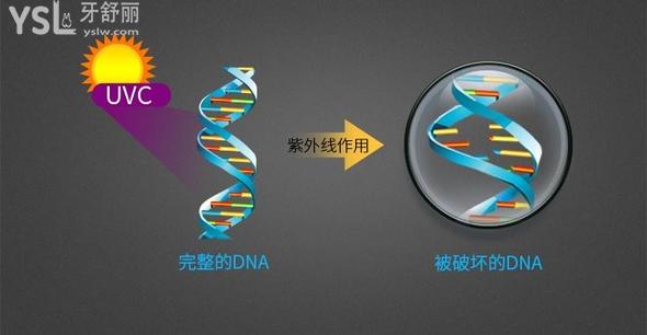 牙刷消毒器測評(píng)有用
