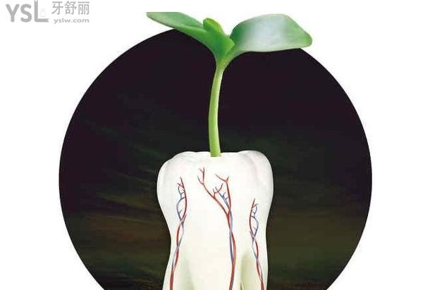 種牙后注意事項(xiàng)
