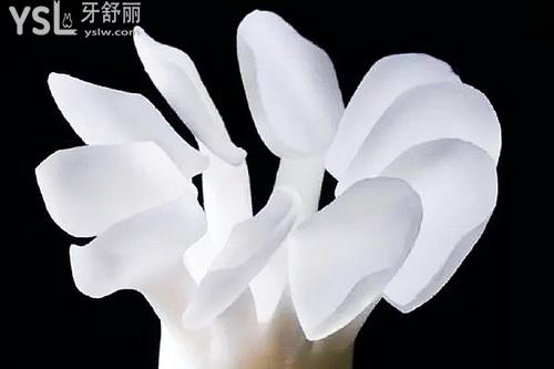 全瓷冠