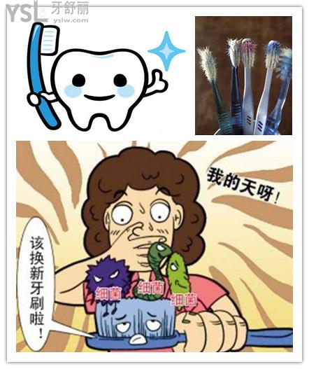 牙醫(yī)建議多久換一次牙刷 .jpg