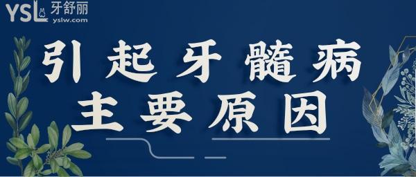 引起牙髓病的主要原因