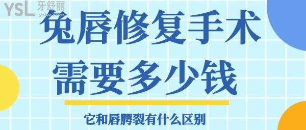 兔唇修復(fù)手術(shù)需要多少錢 它和唇腭裂有什么區(qū)別