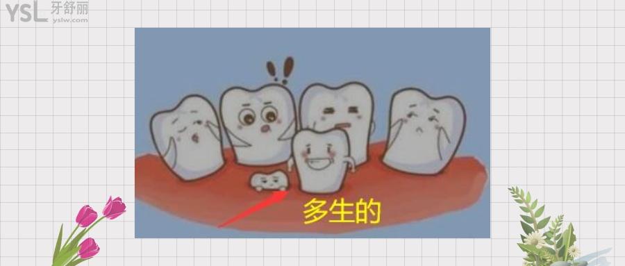 多生牙拔了多久長(zhǎng)新牙