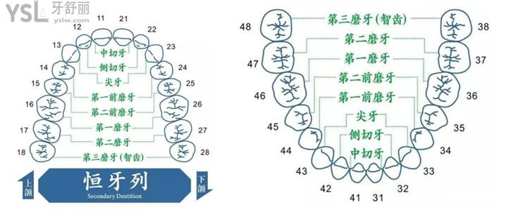 小孩矯正牙齒需要拔牙有沒有后遺癥