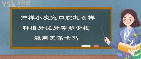 鐘祥小灰兔口腔如何