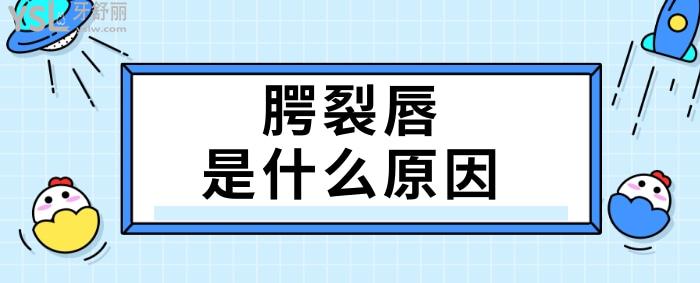 腭裂唇是什么原因，如何預(yù)防？.jpg