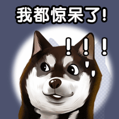 種植牙2980元、3980元、3999元哪個(gè)是騙局.gif