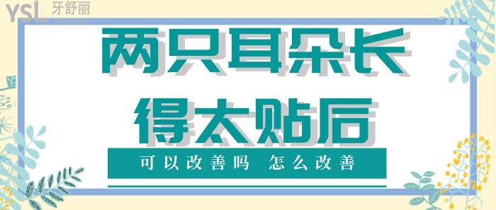 兩只耳朵長(zhǎng)得太貼后可以改善嗎.jpg