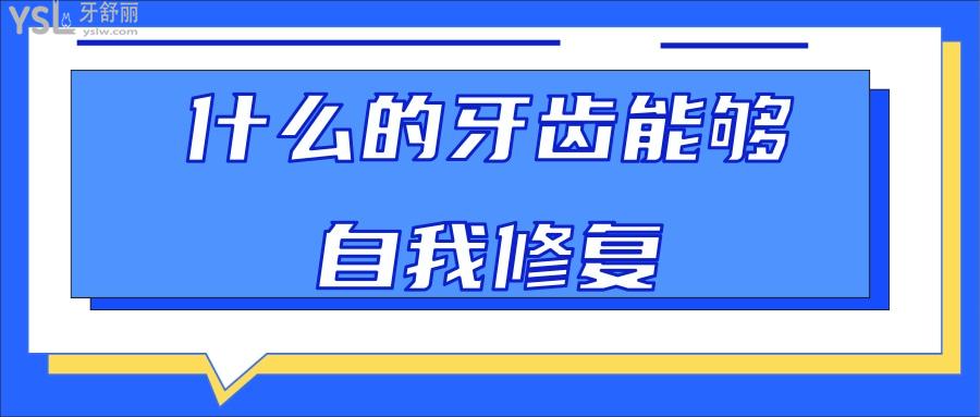 什么的牙齒能夠自我修復(fù)