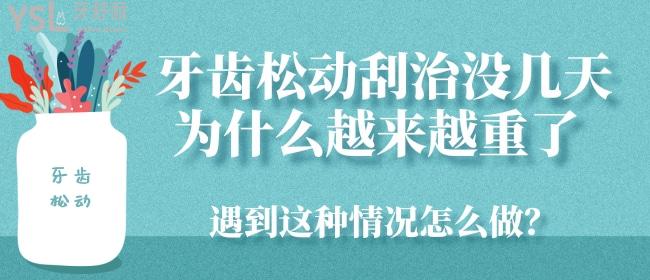 牙齒松動刮治沒幾天為什么越來越重了 