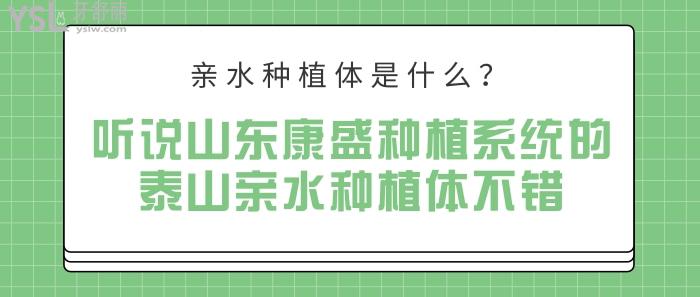 親水種植體是什么，山東康盛種植系統(tǒng)的泰山親水種植體