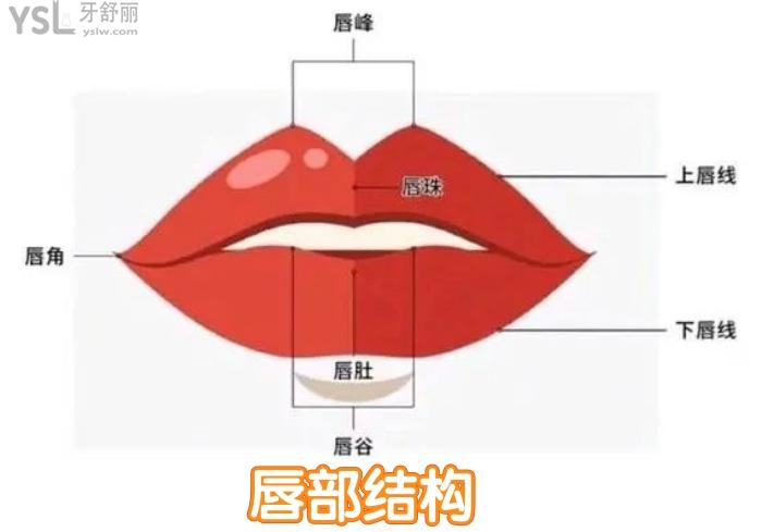 聽說唇部整形只要幾千塊錢，那唇部修復(fù)手術(shù)一般要多少錢？