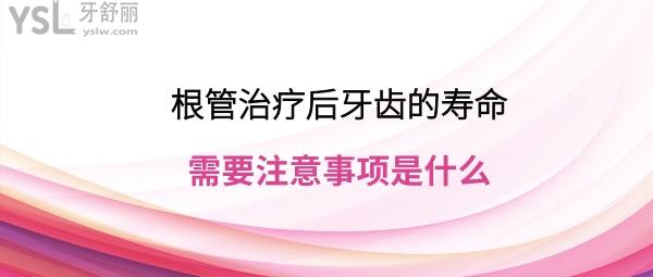 根管治療后牙齒的壽命