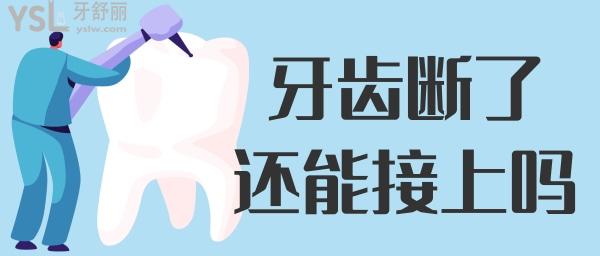 牙斷了還能接上嗎