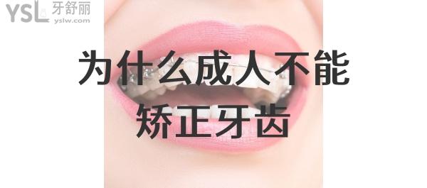 成人牙齒矯正