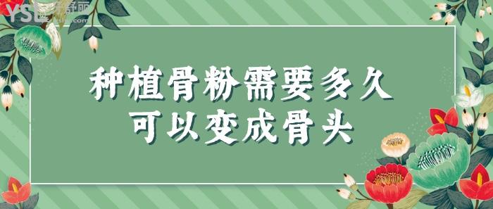 種植骨粉需要多久可以變成骨頭.jpg