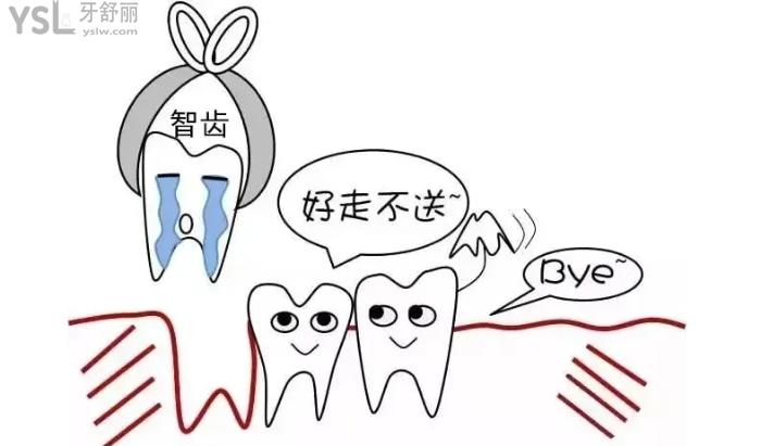拔智齒