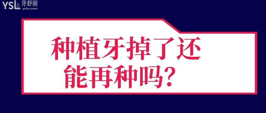 種植牙掉了還能再種嗎