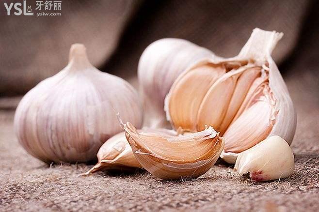 大蒜圖